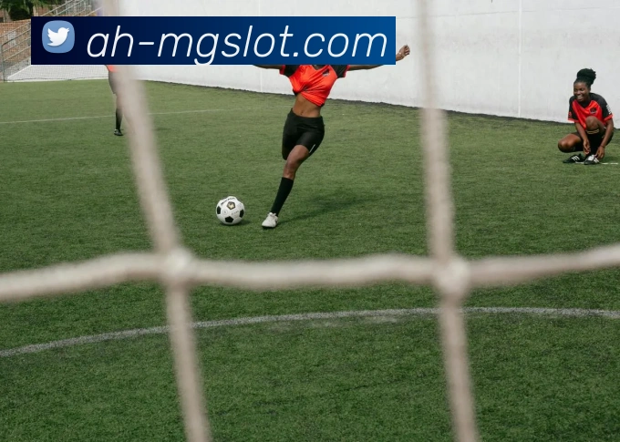 MG电子模拟器官网APP 体育赛事宣传图